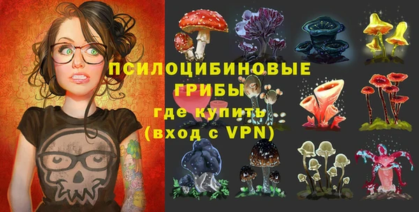 стаф Новозыбков