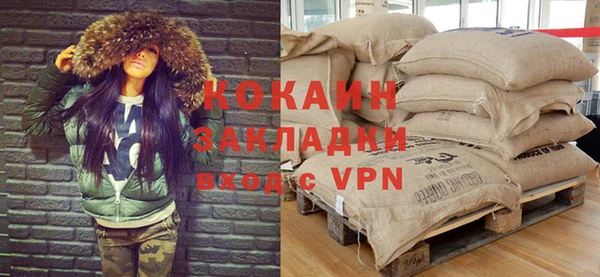 стаф Новозыбков