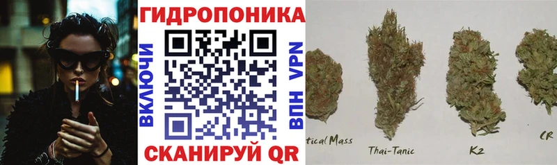 дарнет шоп  Тейково  МАРИХУАНА индика 