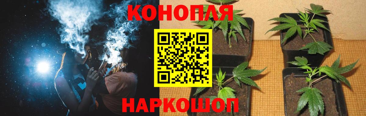 Каннабис тримм Тейково